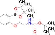 2-[2-(4,4,5,5-Tetramethyl-[1,3,2]dioxaborolan-2-yl)-phenoxy]-ethyl-carbamic acid tert-butyl ester