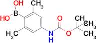 4-(tert-Butoxycarbonylamino)-2,6-dimethylphenylboronic acid