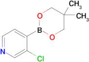 3-Chloro-4-(5,5-dimethyl-1,3,2-dioxaborinan-2-yl)pyridine