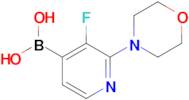 3-Fluoro-2-morpholinopyridine-4-boronic acid