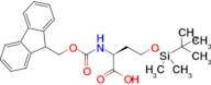 N-(((9H-Fluoren-9-yl)methoxy)carbonyl)-O-(tert-butyldimethylsilyl)-L-homoserine