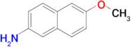 6-Methoxynaphthalen-2-amine