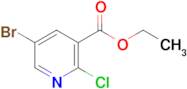 Ethyl 5-bromo-2-chloronicotinate