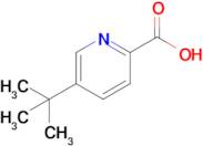 5-(tert-Butyl)picolinic acid