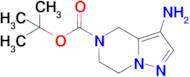 tert-Butyl 3-amino-6,7-dihydropyrazolo[1,5-a]pyrazine-5(4H)-carboxylate