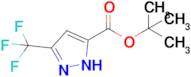 Tert-butyl 3-(trifluoromethyl)-1H-pyrazole-5-carboxylate