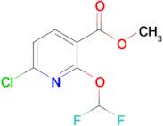 Methyl 6-chloro-2-(difluoromethoxy)nicotinate