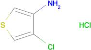 4-Chlorothiophen-3-amine hydrochloride