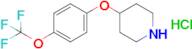 4-(4-(Trifluoromethoxy)phenoxy)piperidine hydrochloride