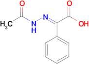(E)-2-(2-Acetylhydrazono)-2-phenylacetic acid