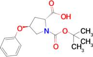 (2R,4S)-1-(tert-Butoxycarbonyl)-4-phenoxypyrrolidine-2-carboxylic acid