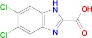 5,6-Dichloro-1H-benzimidazole-2-carboxylic acid