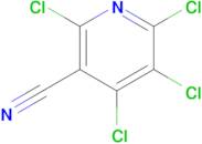 2,4,5,6-Tetrachloronicotinonitrile