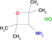 2,2,4,4-Tetramethyloxetan-3-aminehydrochloride