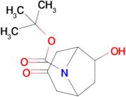 tert-Butyl6-hydroxy-3-oxo-8-azabicyclo[3.2.1]octane-8-carboxylate