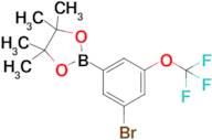 2-(3-bromo-5-(trifluoromethoxy)phenyl)-4,4,5,5-tetramethyl-1,3,2-dioxaborolane