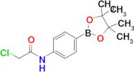 2-Chloro-n-(4-(4,4,5,5-tetramethyl-1,3,2-dioxaborolan-2-yl)phenyl)acetamide