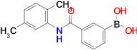 (3-((2,5-Dimethylphenyl)carbamoyl)phenyl)boronic acid