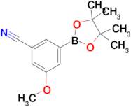 3-Methoxy-5-(4,4,5,5-tetramethyl-1,3,2-dioxaborolan-2-yl)benzonitrile