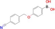 (4-((4-Cyanobenzyl)oxy)phenyl)boronic acid
