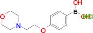 (4-(2-Morpholinoethoxy)phenyl)boronic acid hydrochloride