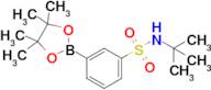 n-(Tert-butyl)-3-(4,4,5,5-tetramethyl-1,3,2-dioxaborolan-2-yl)benzenesulfonamide