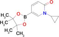 1-Cyclopropyl-5-(4,4,5,5-tetramethyl-1,3,2-dioxaborolan-2-yl)pyridin-2(1H)-one