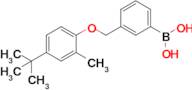 (3-((4-(Tert-butyl)-2-methylphenoxy)methyl)phenyl)boronic acid