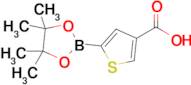 5-(4,4,5,5-Tetramethyl-1,3,2-dioxaborolan-2-yl)thiophene-3-carboxylic acid