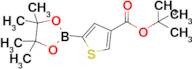 tert-Butyl 5-(4,4,5,5-tetramethyl-1,3,2-dioxaborolan-2-yl)thiophene-3-carboxylate