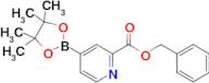 Benzyl 4-(4,4,5,5-tetramethyl-1,3,2-dioxaborolan-2-yl)picolinate