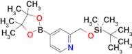 2-(((tert-Butyldimethylsilyl)oxy)methyl)-4-(4,4,5,5-tetramethyl-1,3,2-dioxaborolan-2-yl)pyridine