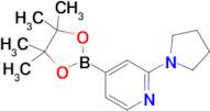 2-(Pyrrolidin-1-yl)-4-(4,4,5,5-tetramethyl-1,3,2-dioxaborolan-2-yl)pyridine