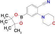 2-Morpholino-4-(4,4,5,5-tetramethyl-1,3,2-dioxaborolan-2-yl)benzonitrile