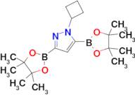 1-Cyclobutyl-3,5-bis(4,4,5,5-tetramethyl-1,3,2-dioxaborolan-2-yl)-1H-pyrazole