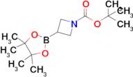 tert-Butyl 3-(4,4,5,5-tetramethyl-1,3,2-dioxaborolan-2-yl)azetidine-1-carboxylate