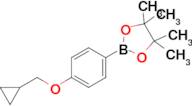 2-[4-(Cyclopropylmethoxy)phenyl]-4,4,5,5-tetramethyl-1,3,2-dioxaborolane