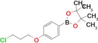 2-[4-(3-Chloropropoxy)phenyl]-4,4,5,5-tetramethyl-1,3,2-dioxaborolane