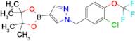 1-(3-Chloro-4-(trifluoromethoxy)benzyl)-4-(4,4,5,5-tetramethyl-1,3,2-dioxaborolan-2-yl)-1H-pyrazole