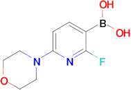 [2-Fluoro-6-(morpholin-4-yl)pyridin-3-yl]boronic acid