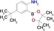 4-(tert-Butyl)-2-(4,4,5,5-tetramethyl-1,3,2-dioxaborolan-2-yl)aniline