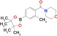 [2-Methyl-4-(4,4,5,5-tetramethyl-[1,3,2]dioxaborolan-2-yl)phenyl]-morpholin-4-yl-methanone