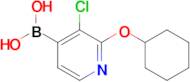 3-Chloro-2-(cyclohexyloxy)pyridine-4-boronic acid