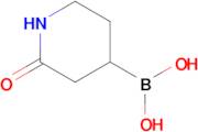 (2-Oxopiperidin-4-yl)boronic acid