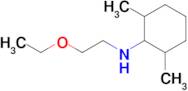 n-(2-Ethoxyethyl)-2,6-dimethylcyclohexan-1-amine