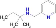 2-Methyl-N-(pyridin-2-ylmethyl)butan-2-amine