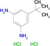 5-(Tert-butyl)benzene-1,3-diamine dihydrochloride