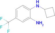 n1-Cyclobutyl-4-(trifluoromethyl)benzene-1,2-diamine