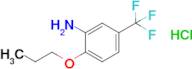 2-Propoxy-5-(trifluoromethyl)aniline hydrochloride