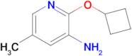 2-Cyclobutoxy-5-methylpyridin-3-amine